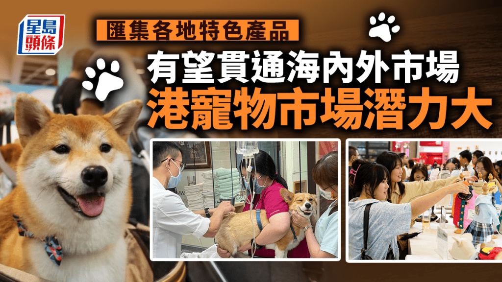 每日雜誌｜匯集各地特色產品 有望貫通海內外市場 港「毛孩」經濟潛力大