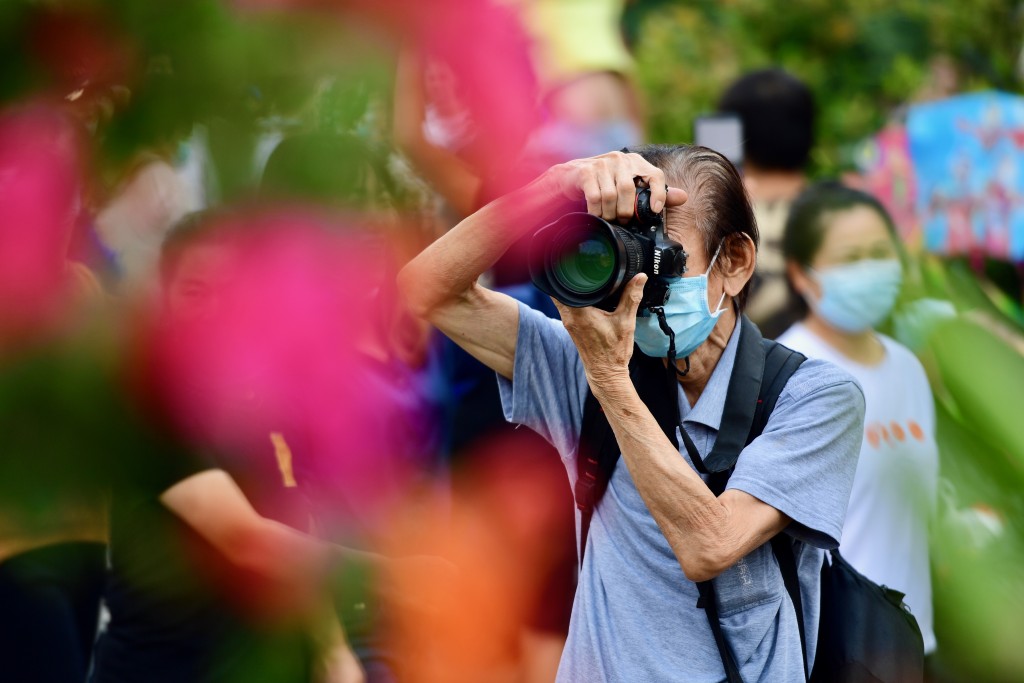 深圳莲花山公园是赏花胜地。 中通社