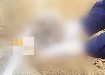 李玉的尸骸。都市快报