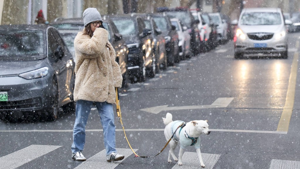 市民在上海市徐匯區冒雪遛狗。  新華社