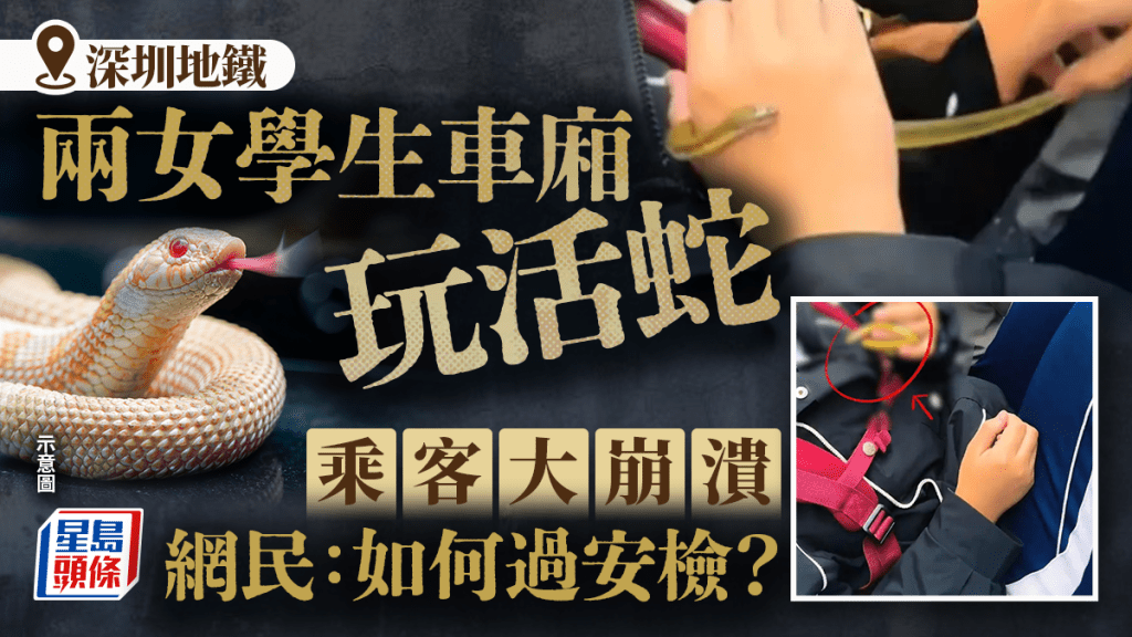 深圳地鐵｜兩女生車廂玩活蛇乘客嚇壞 網民：如何過安檢？