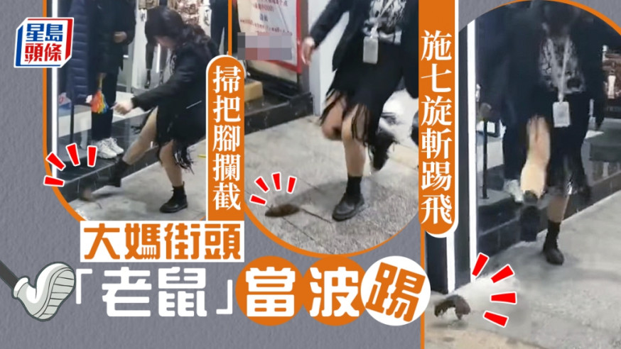 网上疯传影片，有大妈在街头将老鼠当波踢，以世界杯脚法，拦截老鼠搓弄。