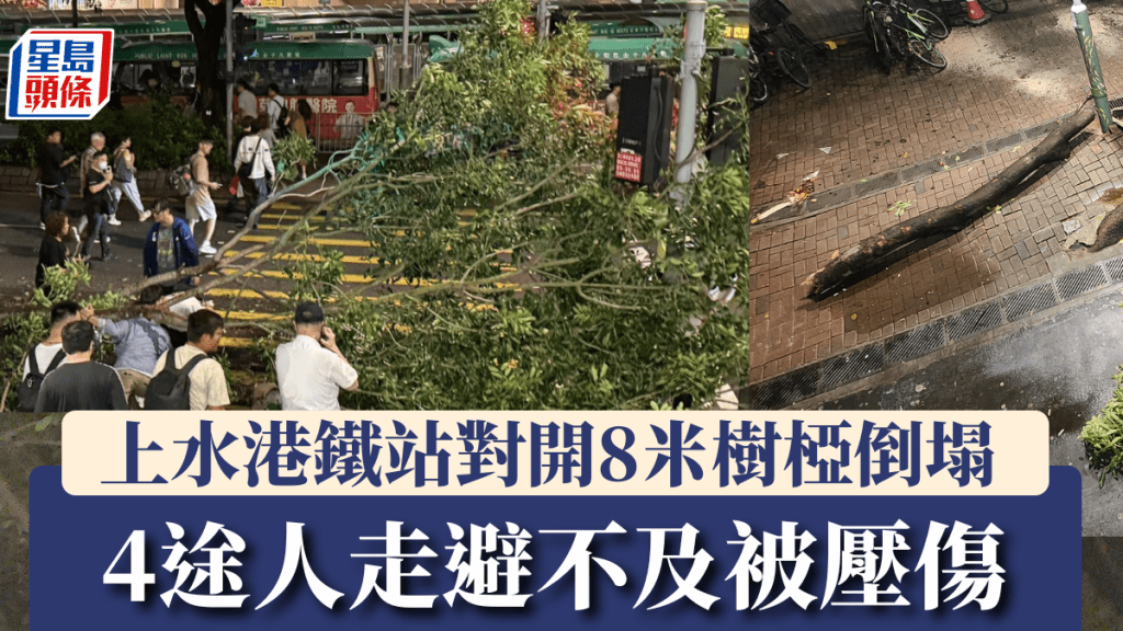 上水港鐵站對開8米樹椏倒塌 4途人走避不及被壓傷