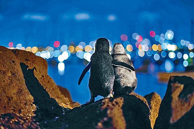 德國攝影師鮑姆格特納的得獎照片。