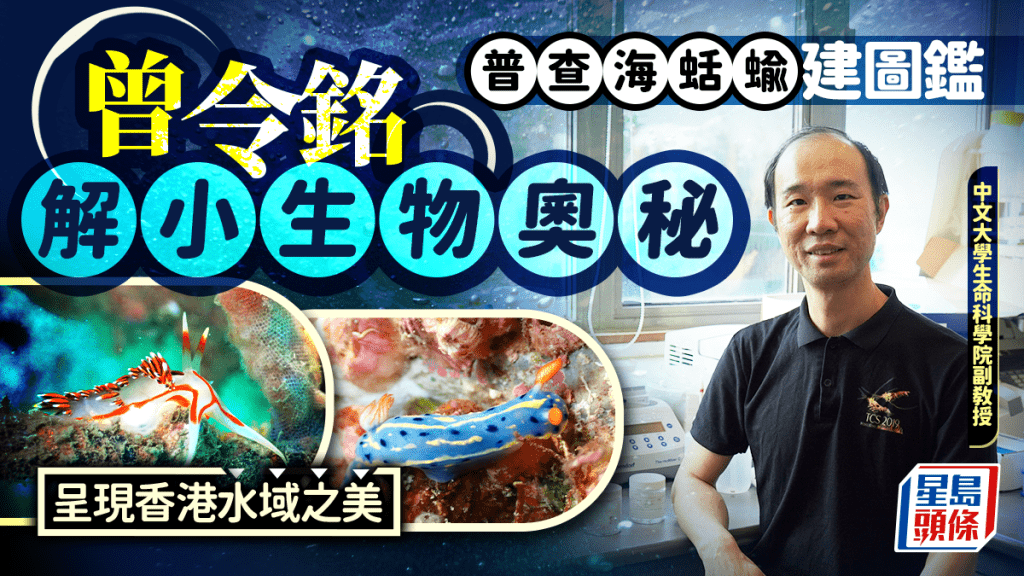 曾令銘團隊展開本港多年來首次全面海蛞蝓水下調查，盼建立「香港海蛞蝓資料庫」。