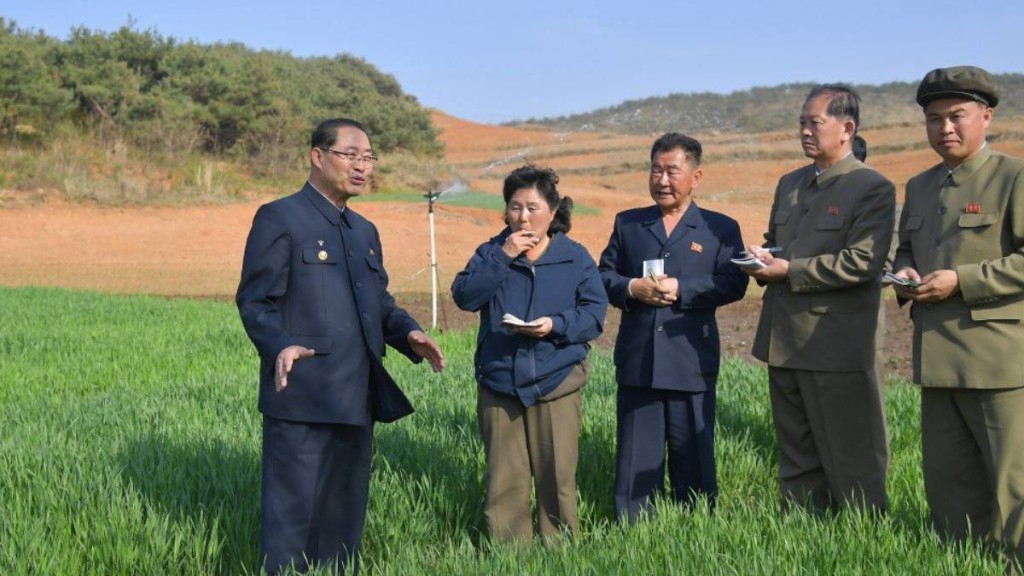 北韩总理朴泰成视察农作物，要求全力减少旱灾损失。朝中社
