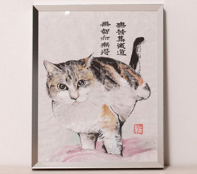 小花猫碌碌。