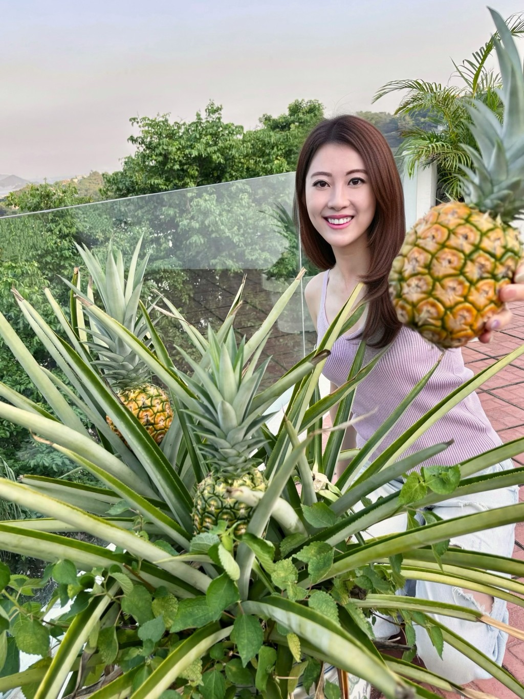 謝芷倫摘菠蘿時手勢非常純熟。 謝芷倫摘菠蘿時手勢非常純熟。