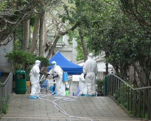 康文署加強雀鳥花園內的清潔。食環署加強清潔雀鳥花園附近的街道。