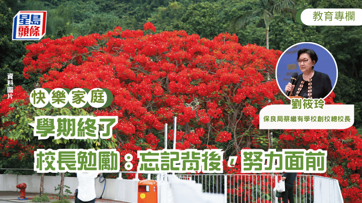 校門旁的兩棵鳳凰木，樹頂的紅花開放了嗎？是學期終了的時候了，是畢業的時候了！（資料圖片）