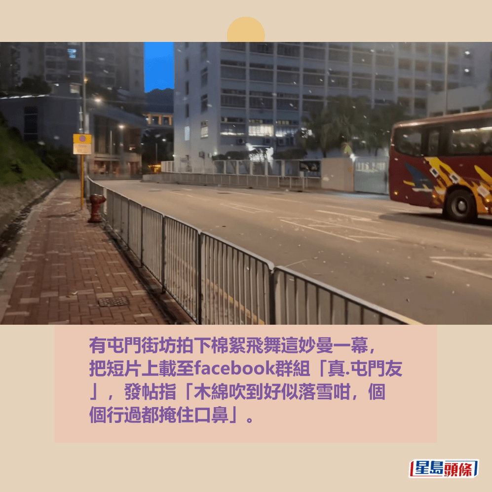 有屯門街坊拍下棉絮飛舞這妙曼一幕, 把短片上載至facebook群組「真.屯門友 」,發帖指「木綿吹到好似落雪咁,個 個行過都掩住口鼻」。fb「真.屯門友」截圖 有屯門街坊拍下棉絮飛舞這妙曼一幕, 把短片上載至facebook群組「真.屯門友 」,發帖指「木綿吹到好似落雪咁,個 個行過都掩住口鼻」。fb「真.屯門友」截圖