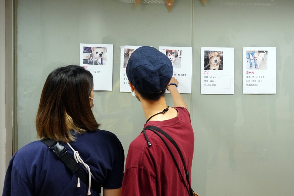 動保組織均希望市民購買狗隻時,不應好像買一件貨品,有錢就買,宜應深思熟慮,並考慮領養。