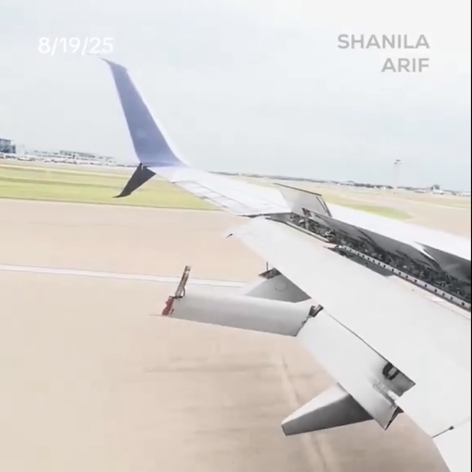 全機乘客都看到,極擔心會釀成災難。 Shanila Arif 全機乘客都看到,極擔心會釀成災難。 Shanila Arif