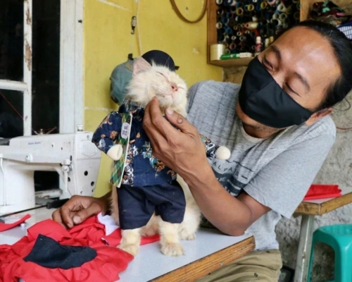 Priadi從2017年開始專職做寵物的cosplay服裝。