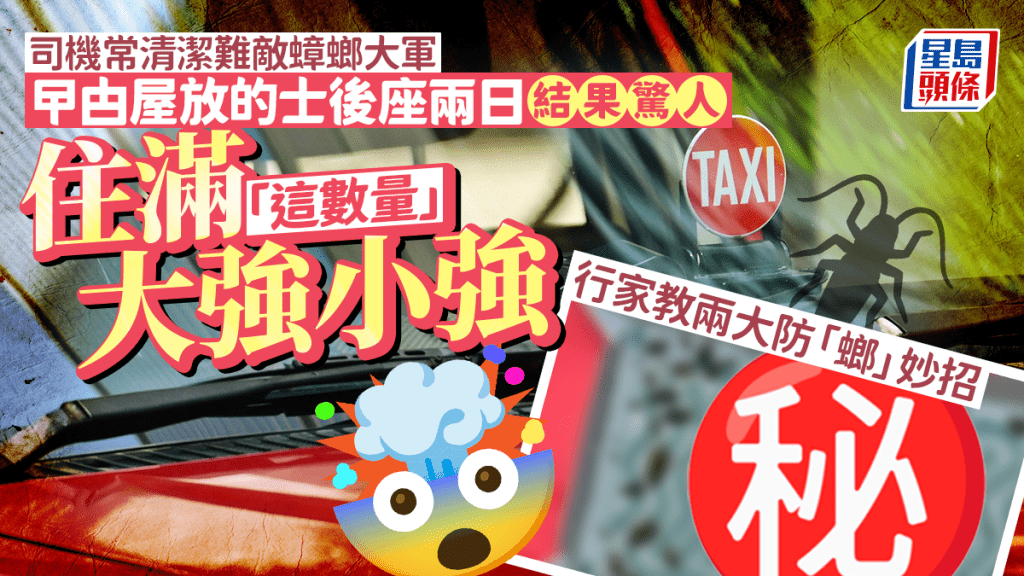 的哥常清潔難敵蟑螂大軍 曱甴屋放後座兩日結果驚人 住滿「這數量」大強小強