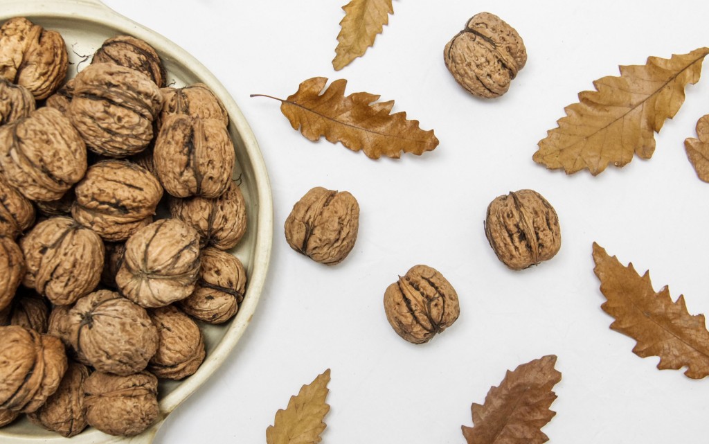  NordWood Themes/ Unsplash图片