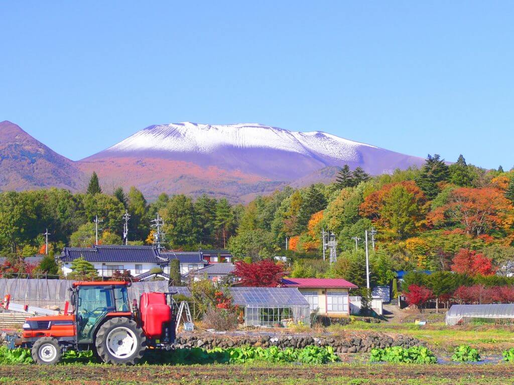 長野縣氣候舒適，擁有豐富的水資源和肥沃的農地，是日本主要的糧食生產地之一。