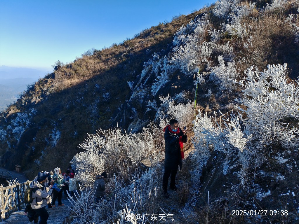 廣東受冷空氣侵襲，粵北金子山迎冰雪奇觀。（微博）