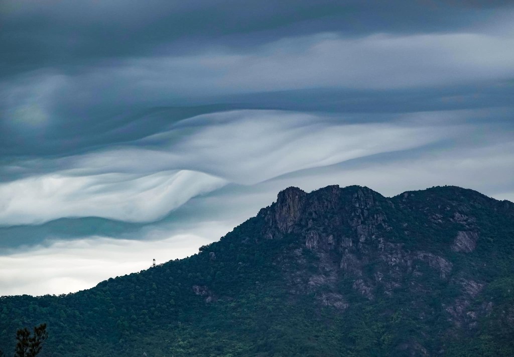 「糙面雲」。攝：John Chow / 2022年3月30日 / 獅子山 / #CWOS