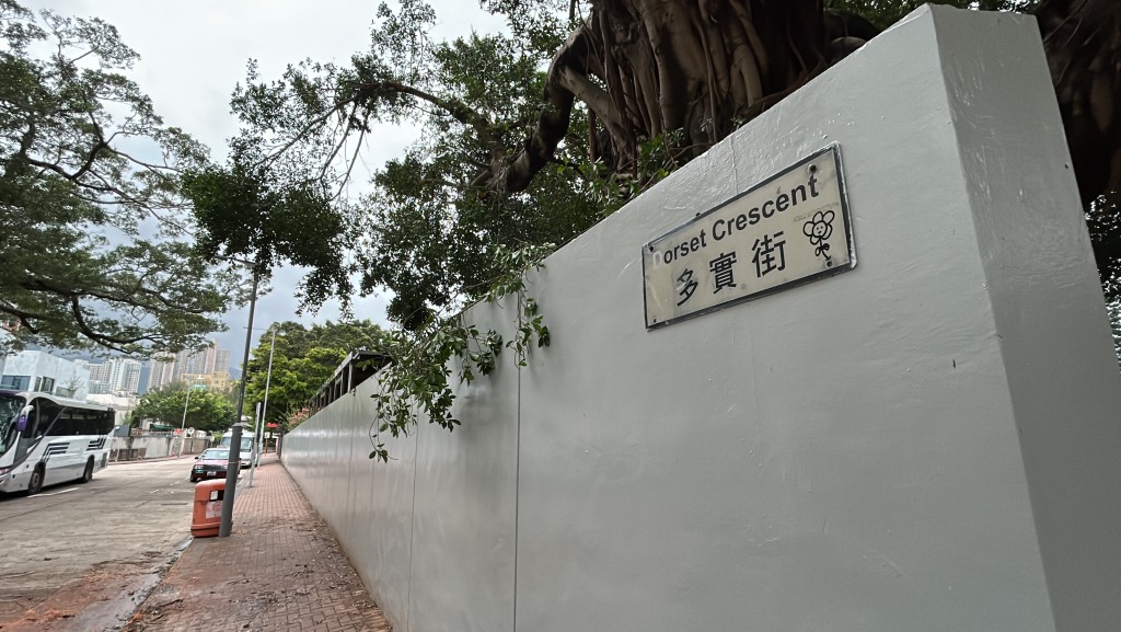 九龍塘多實街一間幼稚園圍牆內的一棵老榕樹，疑不敵強風吹襲斷樹枝。蔡楚輝攝