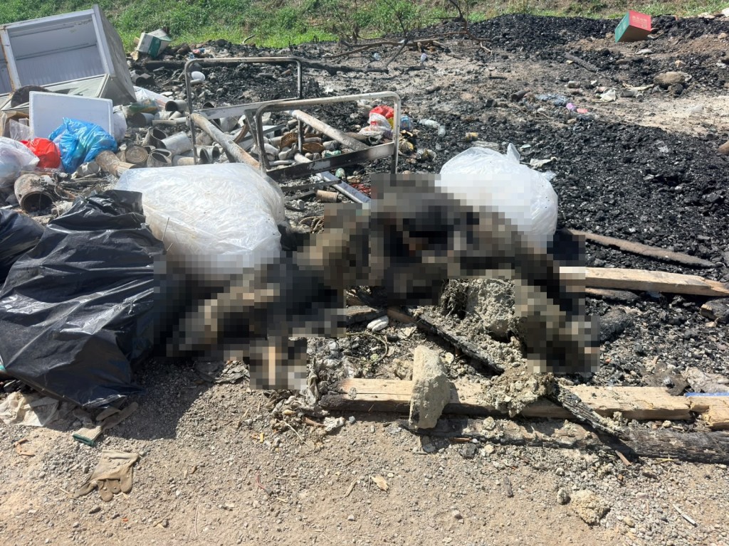 4隻狗屍被棄置在魚塘旁邊的垃圾堆中。梁國峰攝