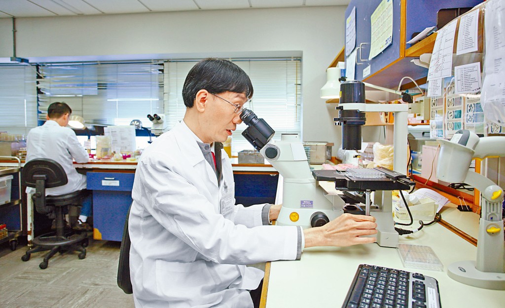 港大教授袁國勇指，分離變種病毒是展開對變種病毒緊急研究的第一步。