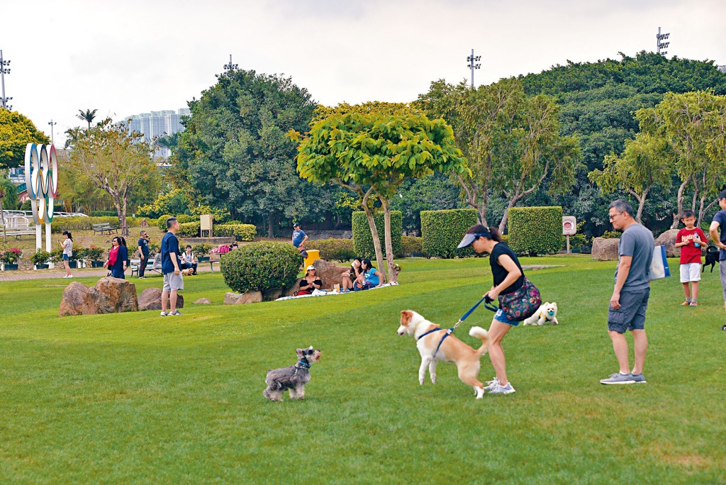 马会申请在彭福公园西北部分兴建马术体验中心。