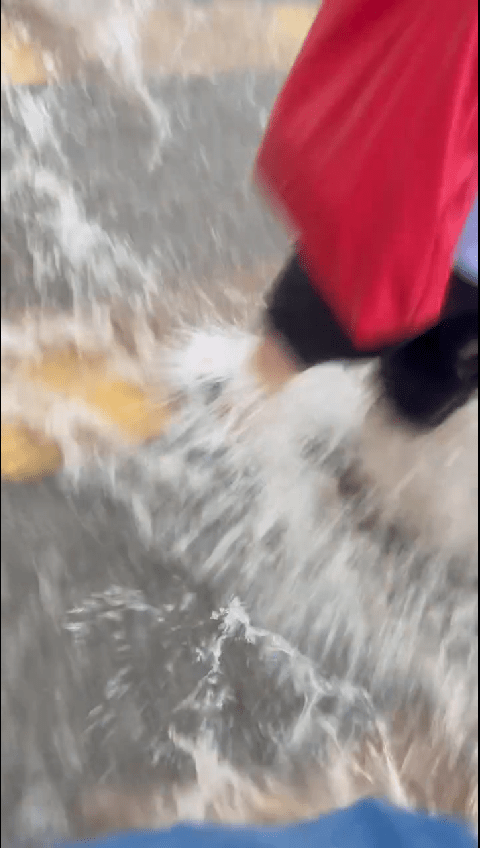 各打工仔均未有後退之意