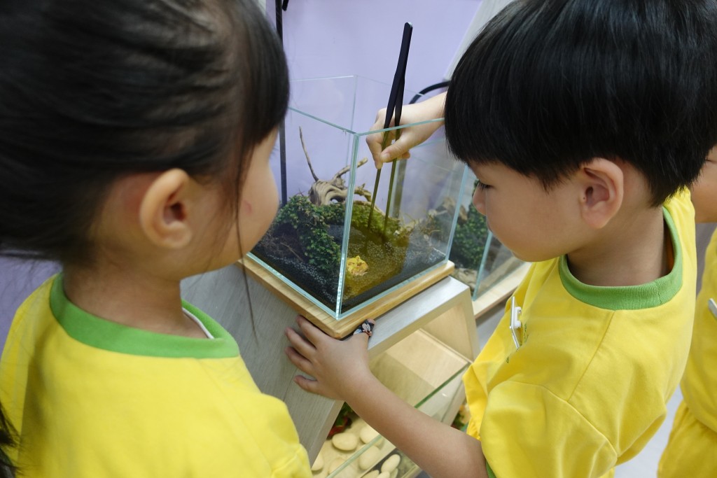  幼兒們到「寵愛閣」照顧小動物。