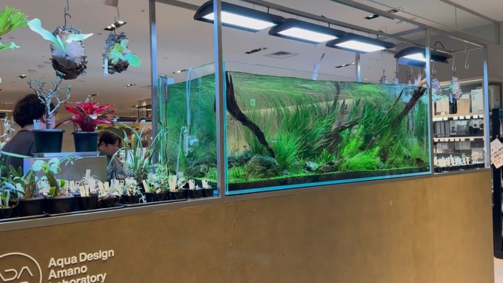 人氣商場ADA LAB魚缸現「驚濤駭浪」。小紅書@neoooooo