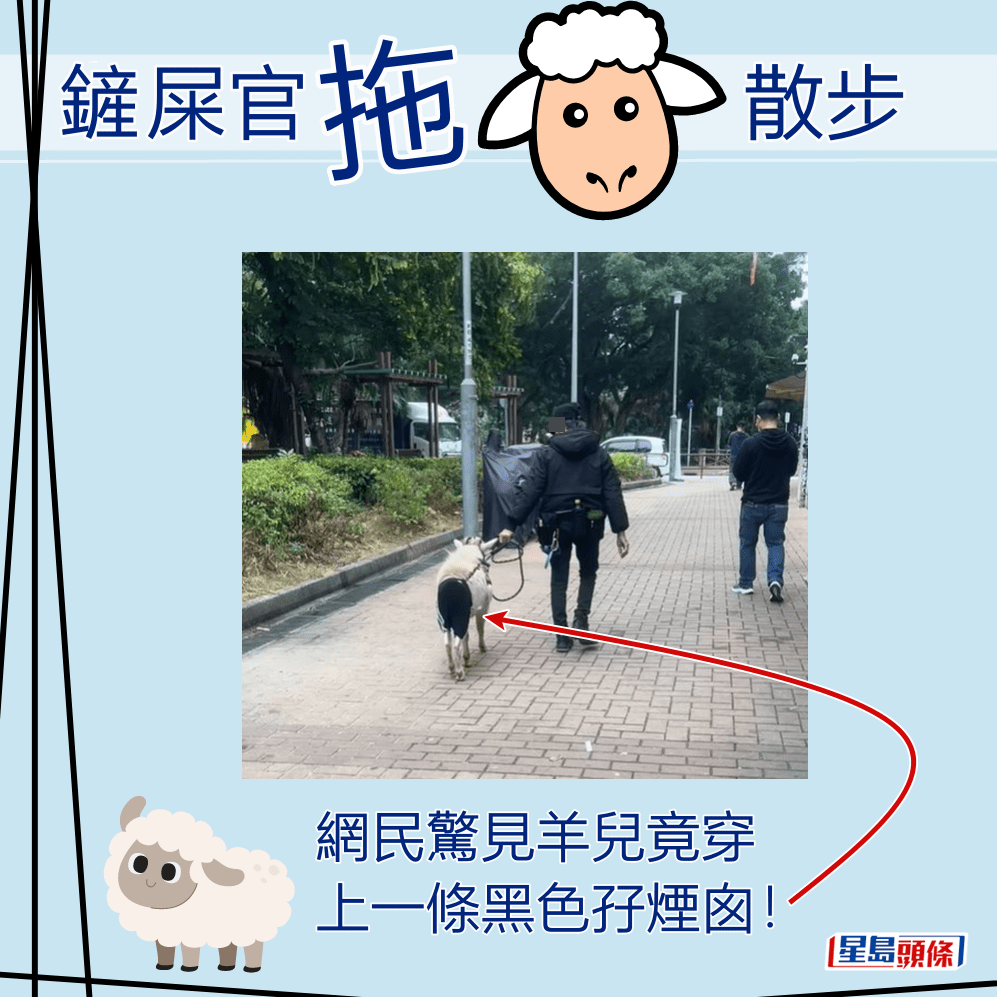 網民驚見羊兒竟穿上一條黑色孖煙囪！fb「洪水橋街坊」截圖