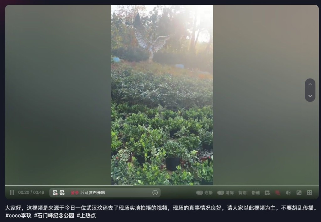 樂壇天后李玟的墓園被發現雜草叢生，無人打理。微博 