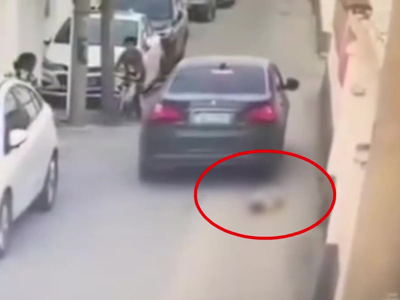 司機亦未有察覺,結果嬰兒被車輾壓而過。(網圖)