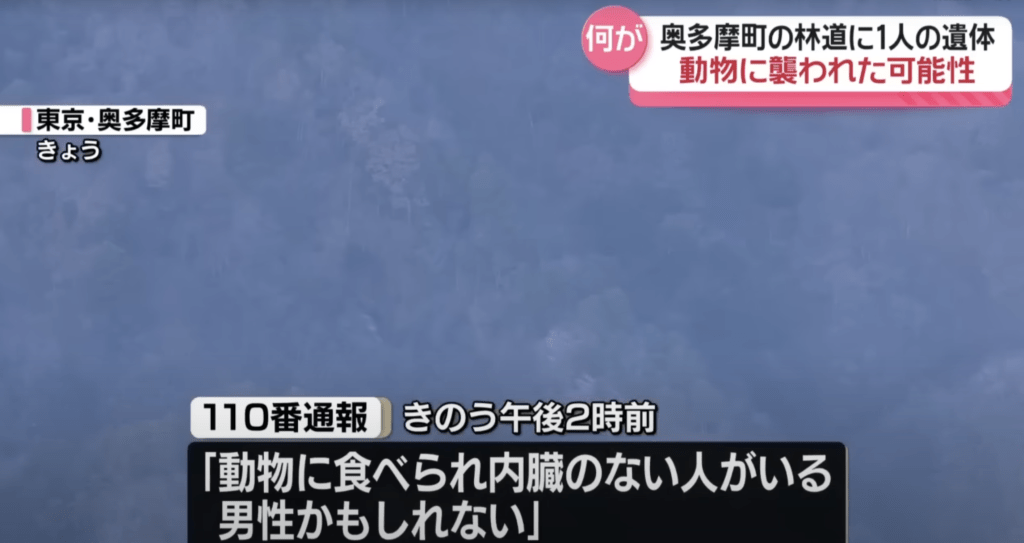 周二（30日）下午，警方接獲民眾報案，指在奧多摩町一條山徑發現一具男性遺體，死狀極其恐怖。日媒ANN畫面截圖