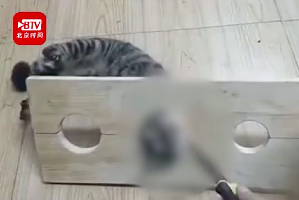 網圖