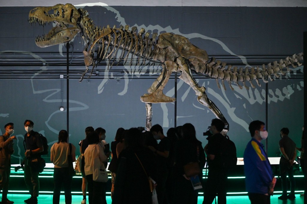 有高達6米骨架化石展出，需動用更高的展廳。