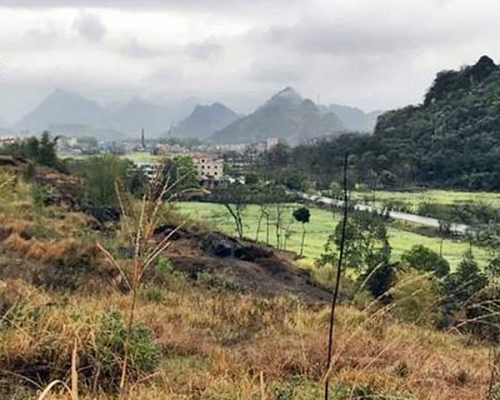 清遠市陽山縣。網圖