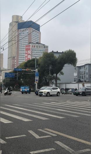 濟南街頭出現一棵外形似暴龍的恐龍樹。抖音