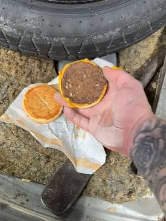 这个已有3年历史的芝士汉堡包是在轮胎后备箱中发现。网上图片