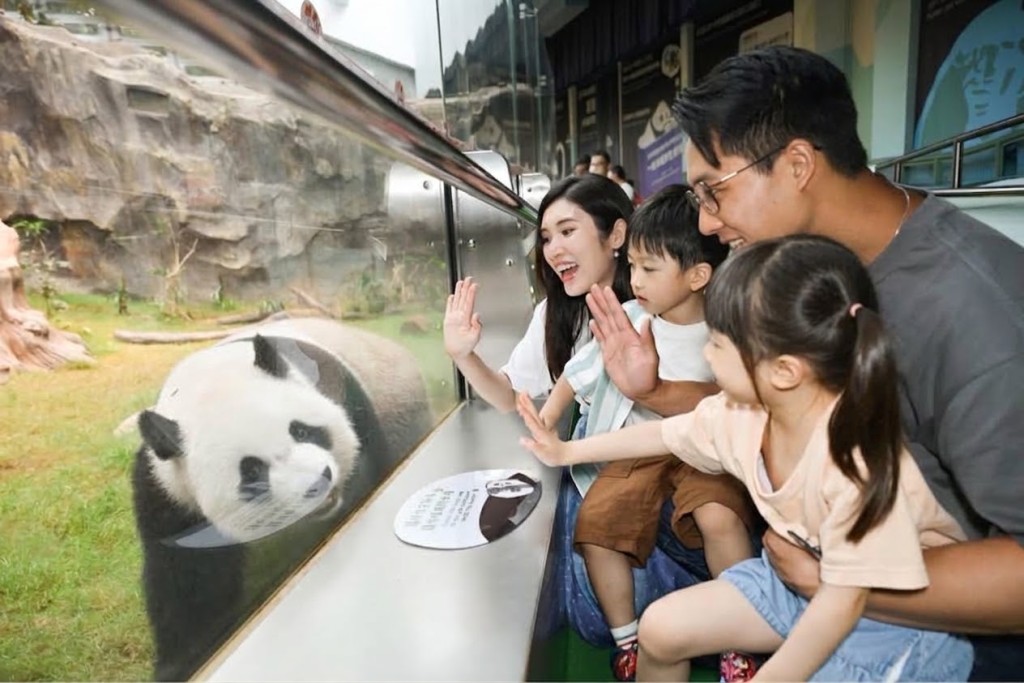 香港海洋公園標準入場門票85折優惠。（圖片來源：海洋公園）