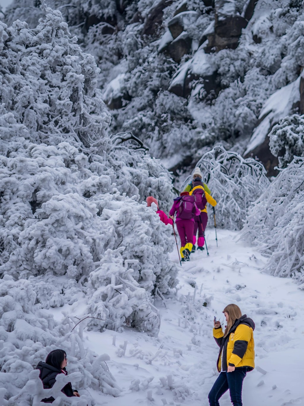 湖南衡陽南嶽衡山向來都是欣賞雪景的熱點，不少遊人均前來打卡影靚相。（圖片來源：小紅書）
