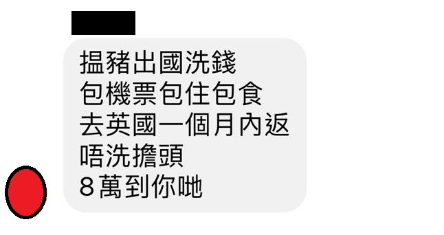 犯罪集團於Telegram等社交媒體發帖，招聘「酒店豬」，背後疑牽涉洗黑錢罪行。