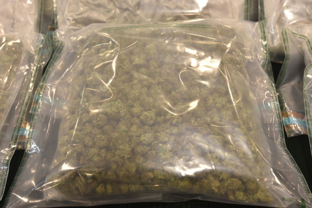 海關發現219袋懷疑大麻花。楊偉亨攝