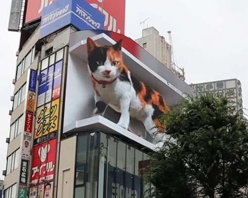 日本東京都新宿站外一棟建築物物外牆上，出現一隻巨型三色貓，吸引不少民眾特地前來「朝聖」。影片截圖