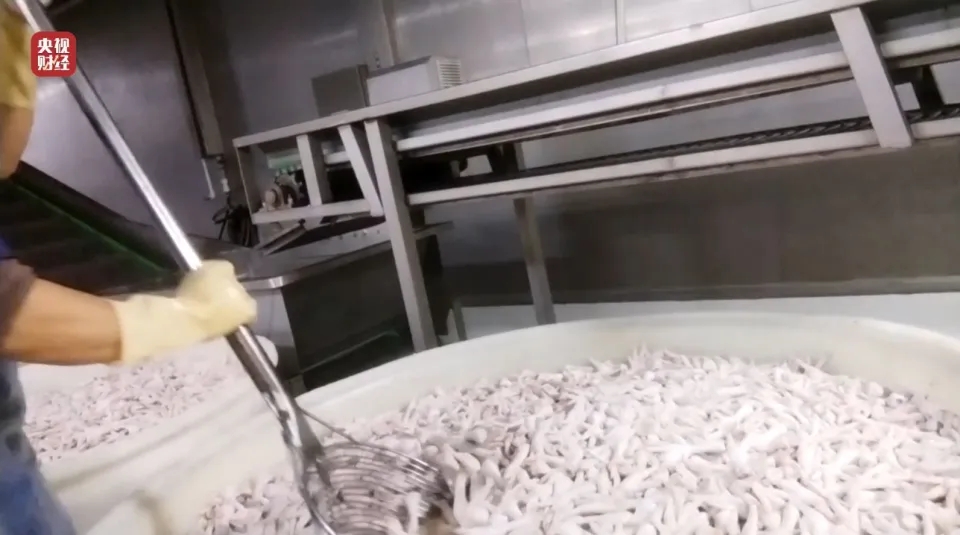 内地黑心凤爪以双氧水漂白,厂房虫鼠横行,工人自己不敢吃。 内地黑心凤爪以双氧水漂白,厂房虫鼠横行,工人自己不敢吃。