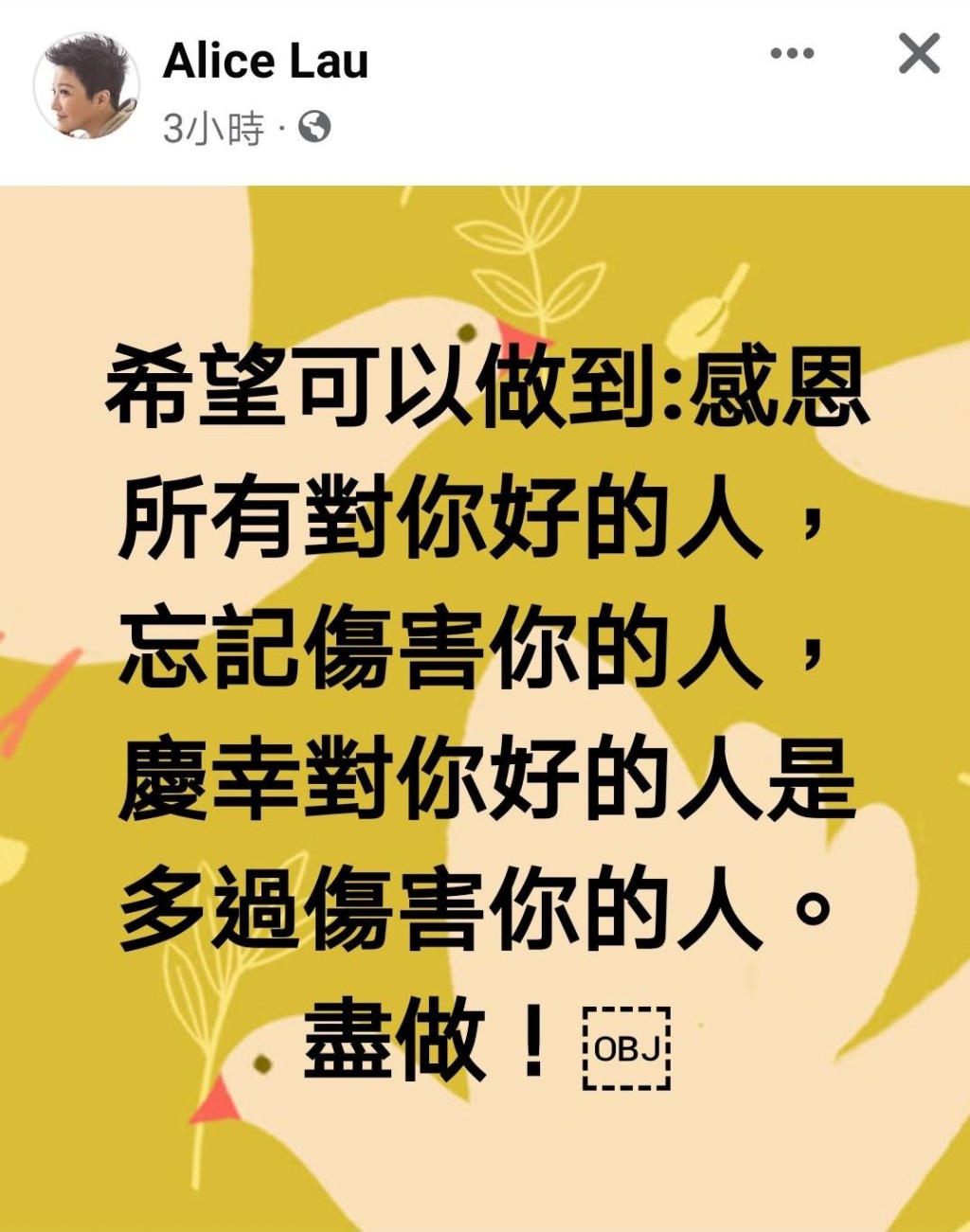 劉雅麗喺FB發表「感恩論」。