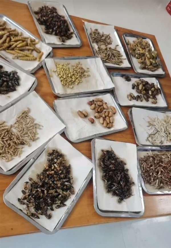 山東小店老闆發佈影片介紹菜品遭罰款45萬元人民幣。指尖新聞 山東小店老闆發佈影片介紹菜品遭罰款45萬元人民幣。指尖新聞