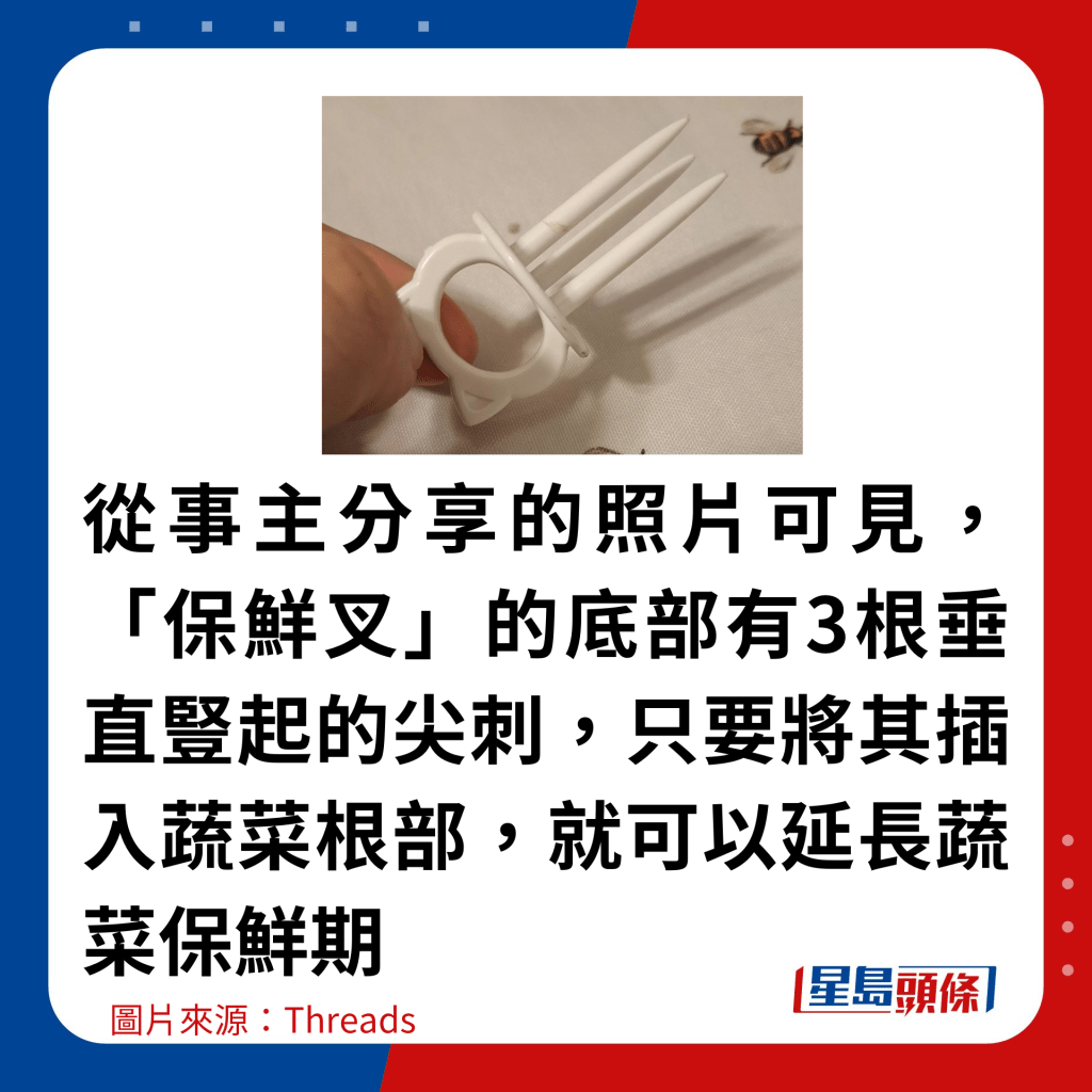 从事主分享的照片可见，「保鲜叉」的底部有3根垂直竖起的尖刺，只要将其插入蔬菜根部，就可以延长蔬菜保鲜期