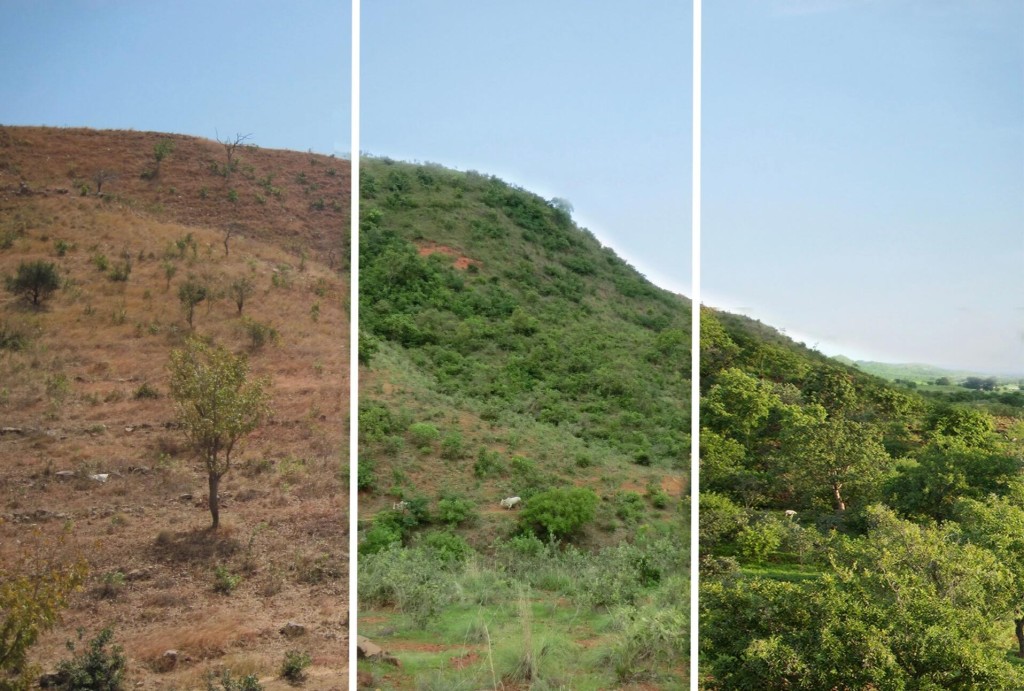農民應用FMNR技術的關鍵在於利用樹木被砍伐後剩下的樹樁，通過適當的保護和管理，讓樹木再生。圖為非洲國家加納的Talensi地區自2010年（左）應用FMNR技術後，同一山坡的植被於2012年（中）及2016年（右）的變化。