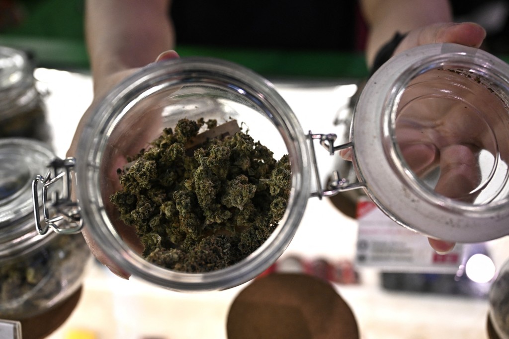 女童其后接受药物测试,结果显示体内有THC残留。法新社 女童其后接受药物测试,结果显示体内有THC残留。法新社